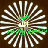 شبکه خبر پیام نور