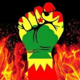 Save Oromia 💪