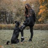 Путь истинный