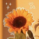 Плегаси🌻