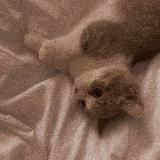 𝐀𝐄𝐒𝐓𝐇𝐄𝐓𝐈𝐂𝐒 ♡