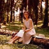 Обрывки мыслей