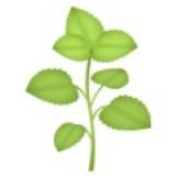 Всё в прошлом? Вряд ли