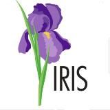 iris. Оптом. Wholesale