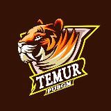 TEMUR PUBGM (YouTube KaNal )
