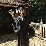 тихими шагами уверенно к мечте