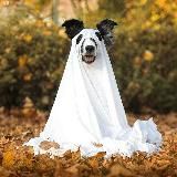 secret diary Hanna♥️