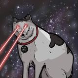 мемы про котов