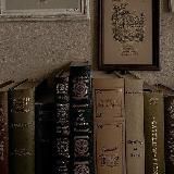 КНИЖНЫЙ УГОЛОК