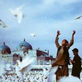 دالر مزار شریف