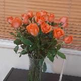 全球求职---招聘频道 🌏👇👇👇