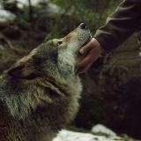 #Netzfunde ❤🕊🍀😊