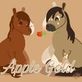 { 🌨 } 𝘾𝙝𝙖𝙣𝙚𝙡 ~ 𝓐𝓹𝓹𝓵𝓮 𝓖𝓸𝓵𝓭 ~ 𝙒𝙞𝙡𝙙 𝙃𝙤𝙧𝙨𝙚 𝙄𝙨𝙡𝙖𝙣𝙙𝙨