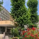 Сочинский колледж искусств