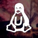 TwezyzCord Minecraft | 1.20.2