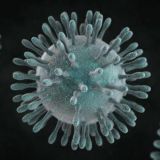 PH Coronavirus Updates 🇵🇭