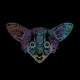 Чат. Positive Development Community