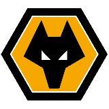Wolverhampton Wanderers News