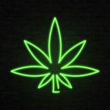 EntheoGrowTGK🇺🇸