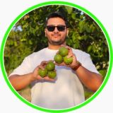 نهال لاکچری کرمی