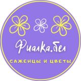 Фиалка.бел