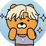 k-pop & korea buzz 🍯