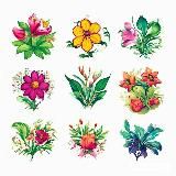 Лютики-ромашки