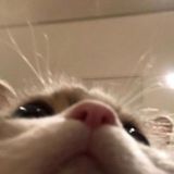 𝗱𝗲𝘃𝗶𝗮𝗻𝘁.