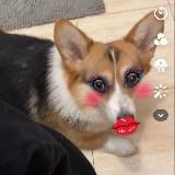 Об'єктивний Мико ➔