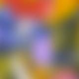 КАЙФОЛОГИЯ