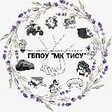 ГБПОУ "МК ТИСУ" Мелитополь 💅 👩🏻‍💻 👷🏻 🚜 🚉 🚗 💇🏼‍♀️ 🧵