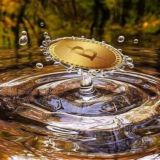 KRYPTO-MARKT-HANDLER🌐