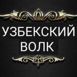 УЗБЕКСКИЙ ВОЛК