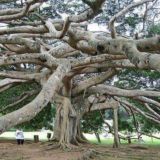 Wissenswertes und Veranstaltungen!