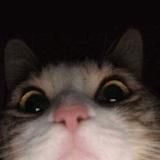 #больнобыть