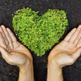 Permacultura Agricultura Regenerativa de la Asociación Iberpermacultural 🌱🌾🌻Alto Río Betis (IARB)