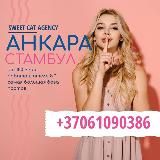 SWEET CAT AGENCY 💕ANKARA💞