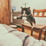 SaltyLeo的博客讨论组！