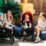 Мами Софіївська і Петропавлівська Борщагівка, Чайки Святопетрівське