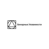Бинарные Уязвимости
