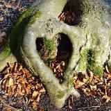 BonnieNDavid Preparedness