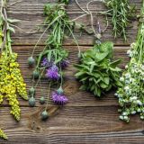 Trucos y Remedios caseros BR