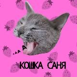 Супер кошка 💘