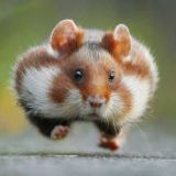 Новости📢Юмор🤣Кино🎥