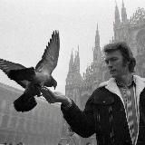 Про КИНО - все, что волнует