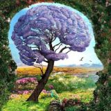 Долголетие и Красота