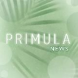 Primula News