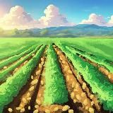 Картофельные поля