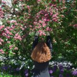 Чебугречка