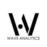 Wave Analytics